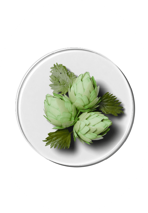 Humleekstrakt inneholder naturlige fytoøstrogener som hjelper til med hormonbalanse og lindrer overgangsplager. En nøkkelingrediens i Luxious kosttilskudd