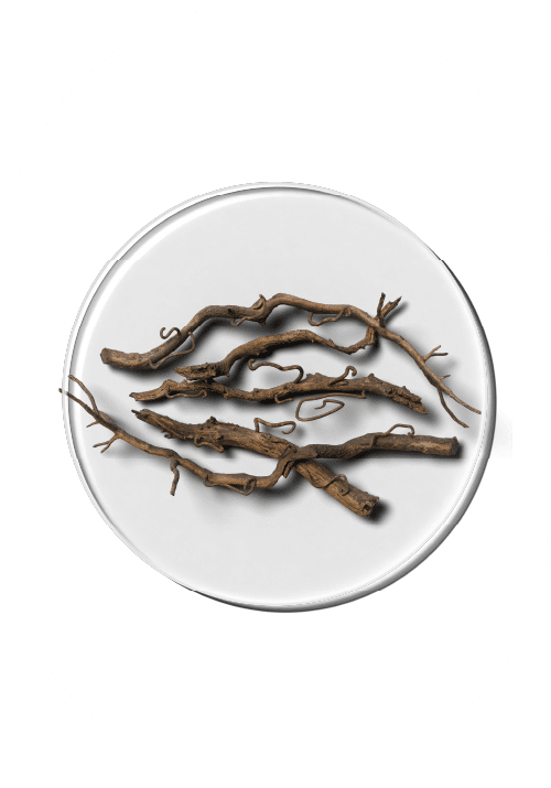 Sibirsk Ginseng øker energinivået, reduserer stress og støtter hormonbalansen. En viktig ingrediens i Luxious kosttilskudd.